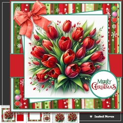 Christmas Tulip Bouquet