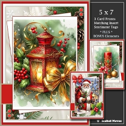 Set of 3 ~ Lovely Christmas Greetings 2