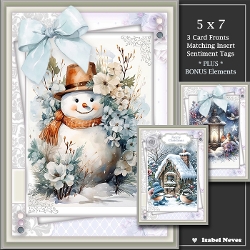 Set Of 3 ~ Beautiful Greetings 3