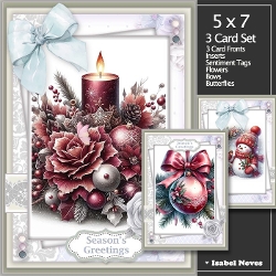 Set Of 3 ~ Beautiful Christmas Greetings