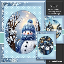 Set Of 3 ~ Beautiful Christmas Scenes