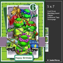 5x7 ~ Time For Birthday Action