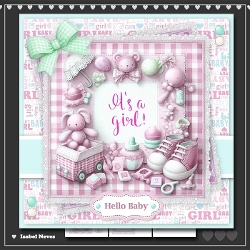 6x6 ~ Hello Baby Girl