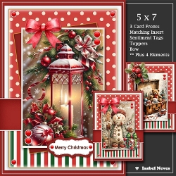 5x7 ~ Set Of 3 Lovely Christmas Greetings