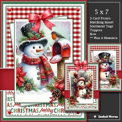 cup1456658_2073 - 5x7 ~ Set Of 3 Festive Snowmen