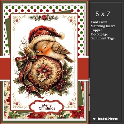 5x7 ~ Christmas Sleeping Bird