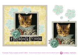 Pretty Kitten Thank You