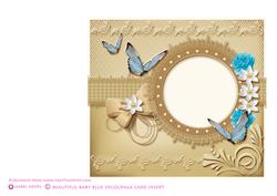Beautiful Baby Blue Card Insert