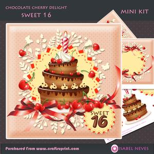 Sweet 16 -chocolate Cherry Delight Mini Kit