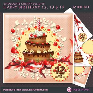 Happy Birthday Age 12, 13 & 15 Mini Kit