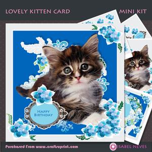 Lovely Kitten Card Decoupage Mini Kit