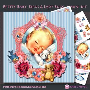 Pretty Baby, Birds, Ladybugs Mini Kit