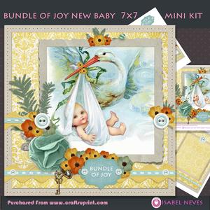 Bundle of Joy New Baby