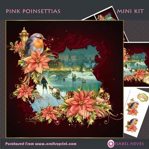 Pink Poinsettias