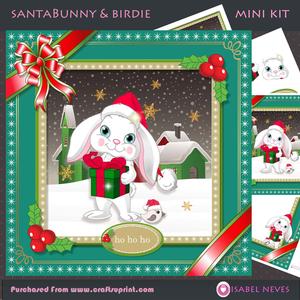 Santa Bunny & Pretty Birdi