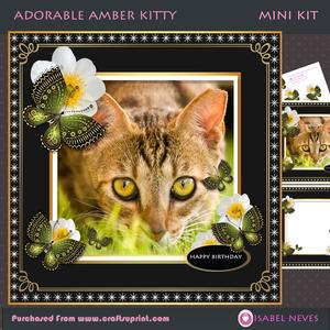 Adorable Amber Kitty
