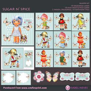 Sugar N' Spice Girl's Bumper Kit
