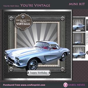 You're Not Old, You're Vintage