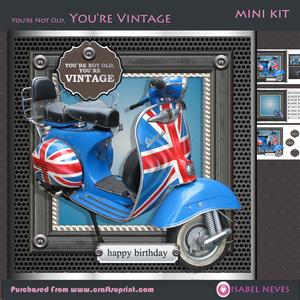 You're Not Old You're Vintage (uk)