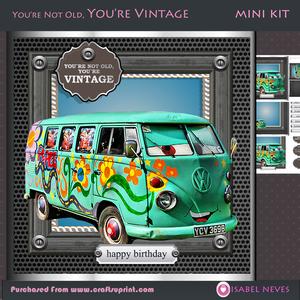 You're Not Old You're Vintage (vwsmilevan)