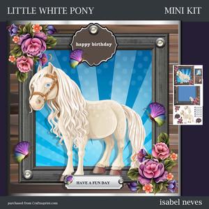 Little White Pony