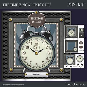 The Time is Now, Enjoy Life