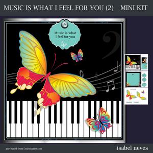 Music is What I Feel for You (2)