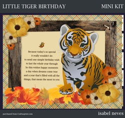 Little Tiger Birthday