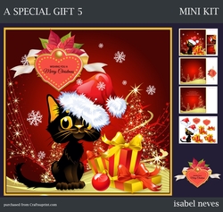 A special Gift 5