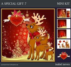 A special Gift 7