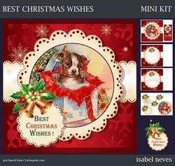 Best Christmas Wishes