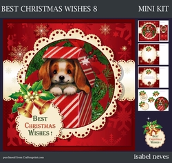 Best Christmas Wishes 8