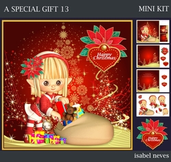 A Special Gift 13