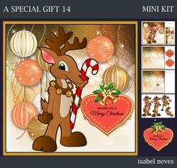 A Special Gift 14