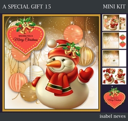 A Special Gift 15