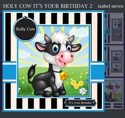 Holy Cow Its Your Birthday 2