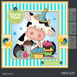 Party Time Its Your Birthday