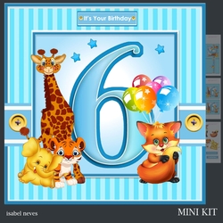 Boy Birthday Six
