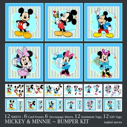 Mickey And Minnie Bumper Kit