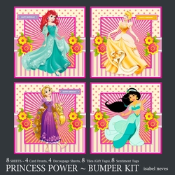 cup769812_2073 - Princess Power Bumper Kit