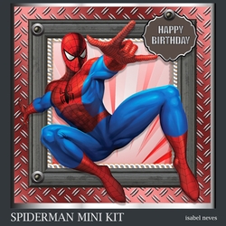 Spiderman Mini Kit