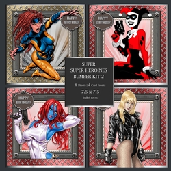 Super Super Heroins Bumper Kit 2