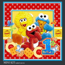 Sesame Street 1st Birthday