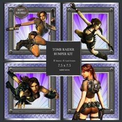 Tomb Raider Bumper Kit