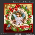 Christmas Angel And Butterflies