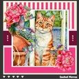 The Kitten And The Butterfly ~ Birthday / Mothers Day / Thank You and more