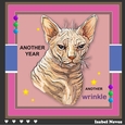 Another Year Another Wrinkle (Cat)