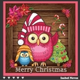 Cute Christmas Owls