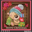 Cute Christmas Bear