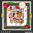 Dog Days Of Christmas 1